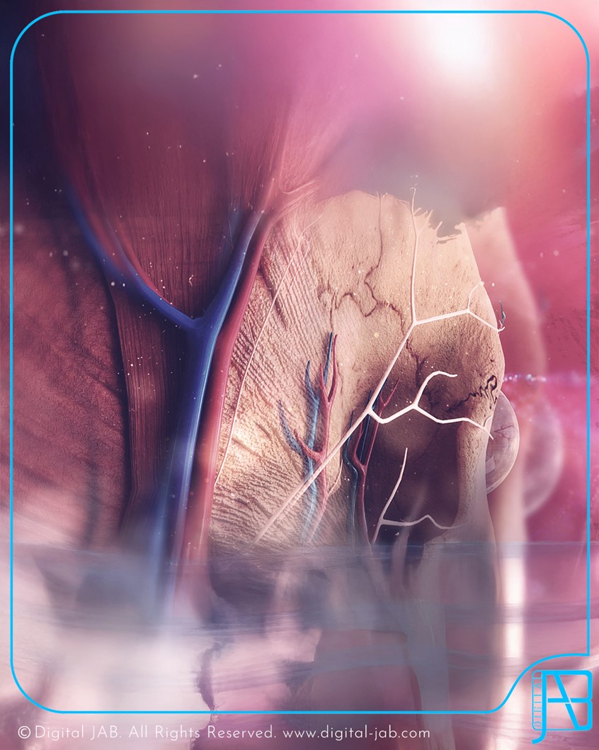 medical illustration of The human skull, also known as the cranium, is a complex bony structure that protects the brain and supports the face. It consists of 22 bones, which can be divided into two main parts: the cranial vault and the facial skeleton.