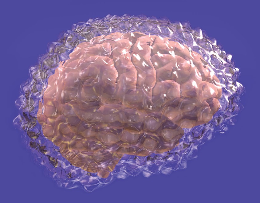 medical illustration of F/C illustration depicting a a view of the brain covered by bubble wrap, digital image, 3D, 3D character, photoshop image, photo-realism, realistic images, retouching 3D imaging, images of cutaways, technical images, science, scientific images, vector images, product images, medical, pharmaceutical, conceptual images, humor, animals, dinosaurs, landscapes, fantasy, people, corporate, book covers, magazines, fantasy.
