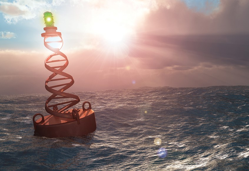 medical illustration of F/C illustration of DNA buoy, digital image, 3D, 3D character, photoshop image, photo-realism, realistic images, retouching 3D imaging, images of cutaways, technical images, science, scientific images, vector images, product images, medical, pharmaceutical, conceptual images, humor, animals, dinosaurs, landscapes, fantasy, people, corporate, book covers, magazines, fantasy.