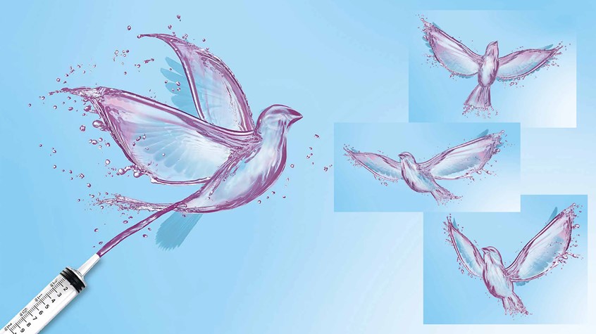 medical illustration of F/C illustration of birds representing freedom, digital image, 3D, 3D character, Photoshop image, photo-realism, realistic images, retouching 3D imaging, images of cutaways, technical images, science, scientific images, vector images, product images, medical, pharmaceutical, conceptual images, humor, animals, dinosaurs, landscapes, fantasy, people, corporate, book covers, magazines, fantasy.
