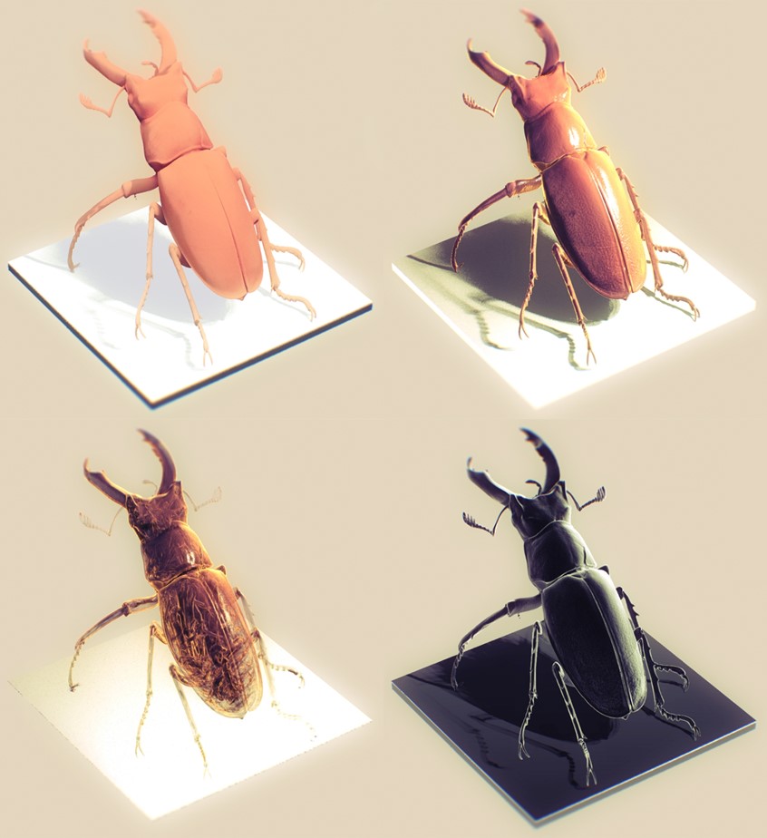 medical illustration of Several variations of a real-time volumetric rendering of a CT scan of a stag beetle. Various lighting effects and transfer functions are used to simulate several different styles. The images are rendered in our real-time visualization framework Marion.