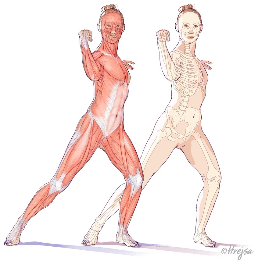 medical illustration of This image illustrates the muscle anatomy of a female athlete in a dynamic pose, showcasing key muscle groups. Deltoids, pectoralis major, biceps brachii, triceps brachii, rectus abdominis, obliques, quadriceps, hamstrings. This representation is valuable for patient education and medical training, enhancing understanding of muscle function in athletic performance.