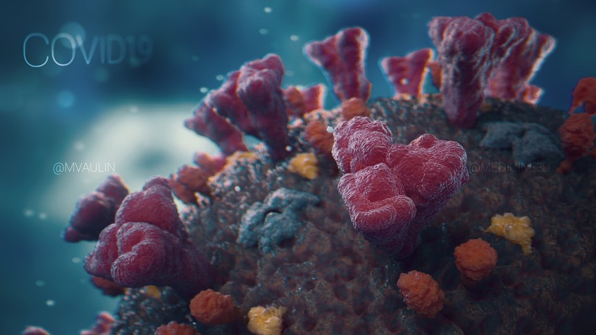 medical illustration of The model was created during the lockdown during the covid virus pandemic in 2020, the details of the structure were reproduced based on images in the media and on the Internet.
This image is part of visualization project, check other images in my portfolio.