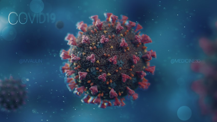 medical illustration of The model was created during the lockdown during the covid virus pandemic in 2020, the details of the structure were reproduced based on images in the media and on the Internet.
This image is part of visualization project, check other images in my portfolio.