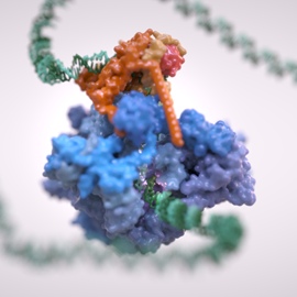Histones: packing DNA Illustration by Phospho Biomedical Animation ...